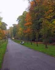 Herbststimmung-23-10-09 052.jpg